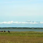 Prázdninový dům 8 Person Holiday Home In Blavand *