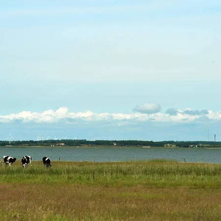 Nyaraló 8 Person In Blavand *