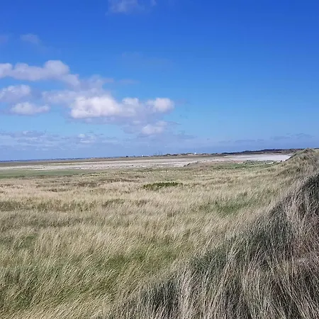 8 Person In Blavand Casa vacanze Ho