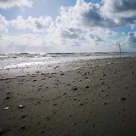 4 Star Holiday Home In Blavand * Ho
