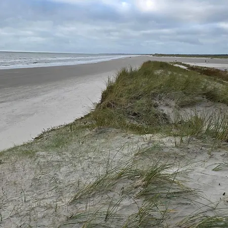 4 Star Holiday Home In Blavand *