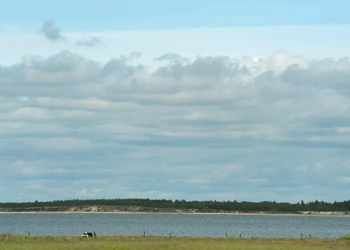 8 Person In Blavand Сasa de vacaciones